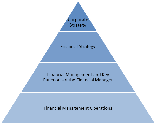 definition of strategic financial management